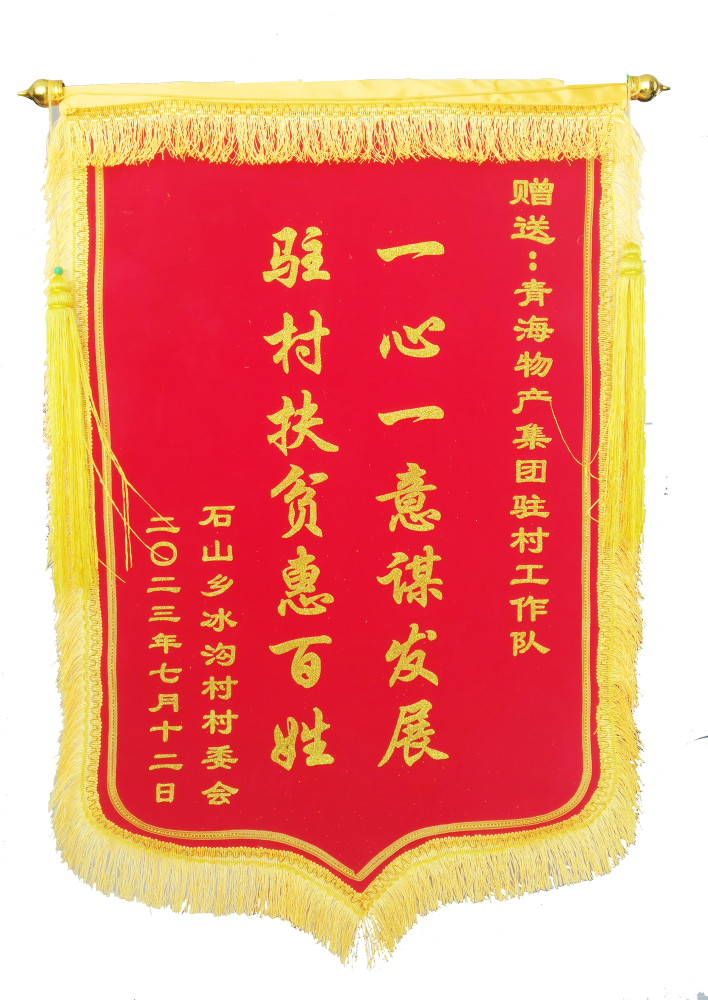 駐村幫扶惠百姓 情滿冰溝暖人心 &mdash;&mdash;省物產(chǎn)集團(tuán)駐村工作隊(duì)期滿離任獲贈錦旗